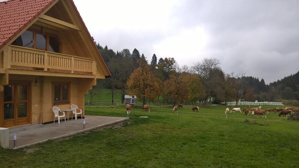 Ferienhaus Dorfruhe Sankt Stefan an der Gail Værelse billede